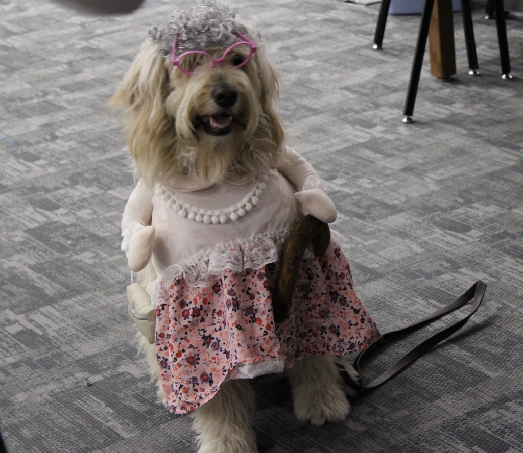 Library Week at the High School was a HIT! Rosie welcomes everyone!